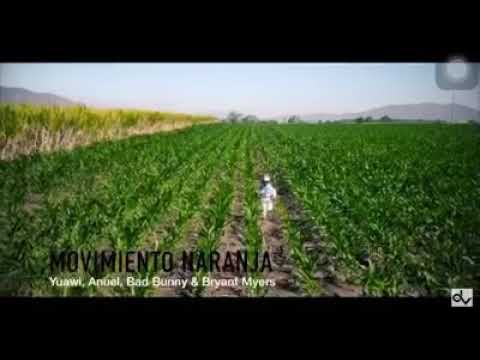 MOVIMIENTO NARANJA TRAP REMIX /// (ft BAD BUNNY.. ANUEL AA .. BRYANT MYERS)  😂😂