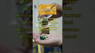 Download lagu KAPSUL HERBAL STROKE‼️GABOOSTER Untuk Segala Penyakit Degeneratif Klik: apotekherbal.id mp3