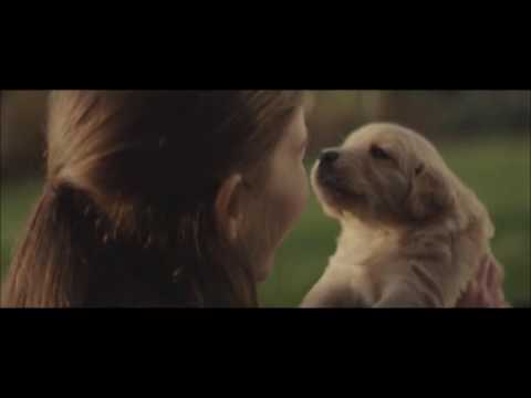 download lagu mp3 mp4 Music In Advertising Examples, download lagu Music In Advertising Examples gratis, unduh video klip Music In Advertising Examples