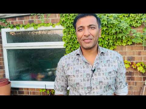 Aspirin oder Eliquis bei Vorhofflimmern?