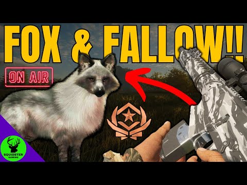 LETS DO THIS CHALLENGE!!! (Then foxes after xD) - Call of the Wild LIVE