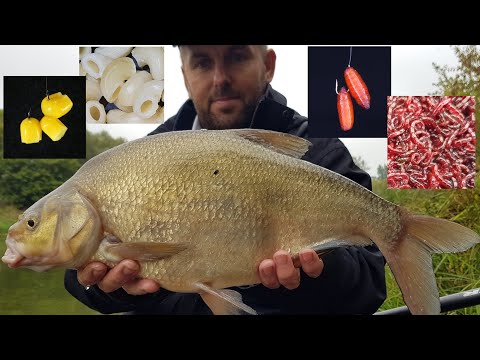 Najlepsza przynęta na leszcza