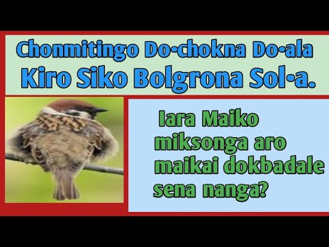 Agan meapa|| Chonmitingo dochokna dola kiro Siko Bolgrona Sola.