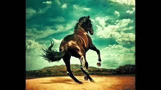 01 Hans Zimmer / Bryan Adams - Spirit: Stallion Of The Cimarron - HomeLand / Here I Am