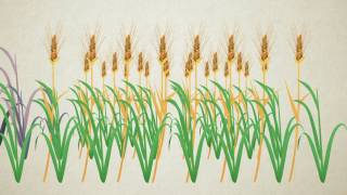 Nature - Giving back to nature