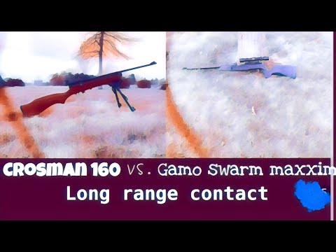 Gamo swarm maxxim vs. crosman 160
