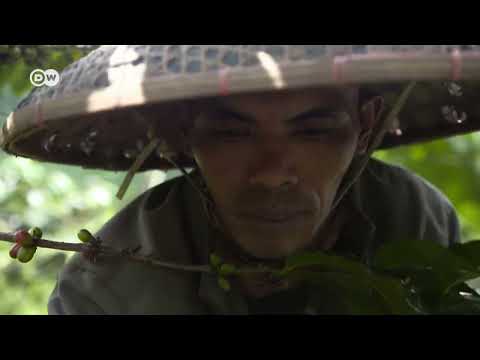 Klimaflucht - die wahre Umweltkatastrophe Doku (2018)