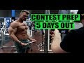 5 DAYS OUT | NEW HAIRSTYLE | PHOTOSHOOT | Bodybuilding lifestyle