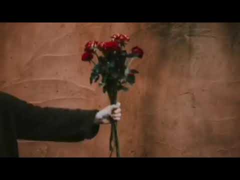 Ahmet Arif / Seni sevmek felsefedir, kusursuz...