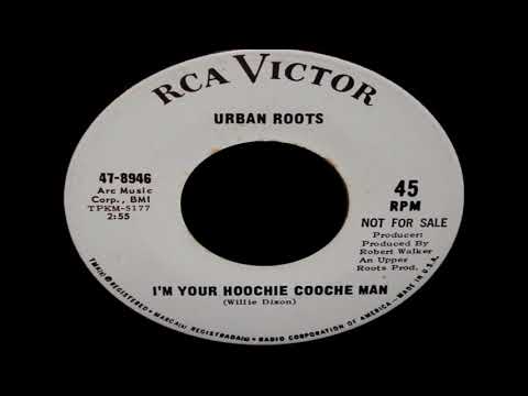 Thumbnail for Urban Roots - I'm Your Hoochie Coochie Man (Muddy Waters Cover) by Otis Spann