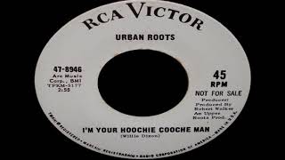 Urban Roots - I'm Your Hoochie Coochie Man (Muddy Waters Cover)