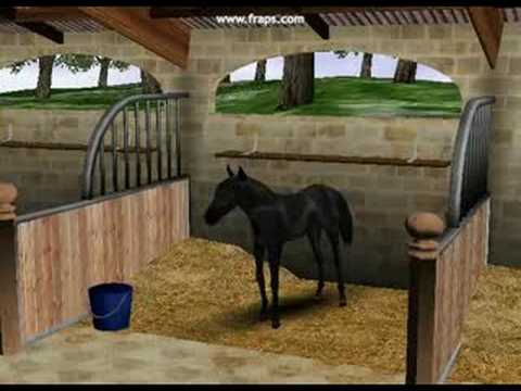 Real Stories : Mission Equitation Online PC