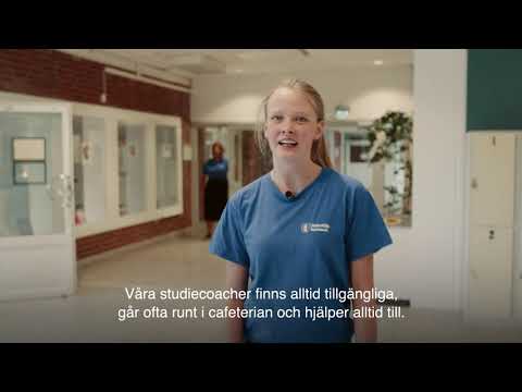 Torekällgymnasiet Södertälje, därför ska du söka till oss