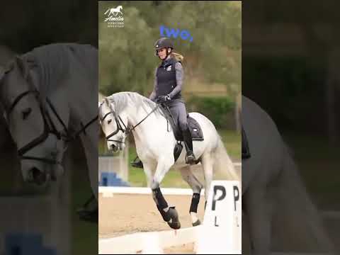 Verbessern Sie Ihre Galoppqualität!