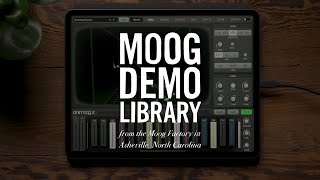 Video thumbnail for Animoog Z | Introduction & New Features by Moog Music