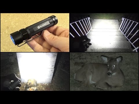 Olight S2 Flashlight Review, 1x 18650 Battery, 950 Lumens, 4 inches Video