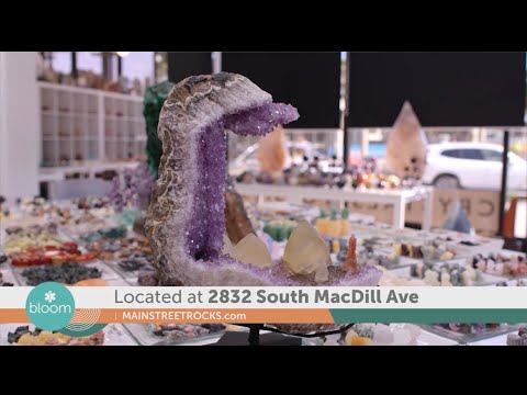 Main Street Rocks Tampa- Bloom Health Expo 2023