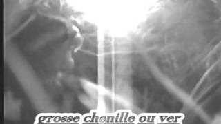 preview picture of video 'CHAMBORD cabane d'oiseau 2005'