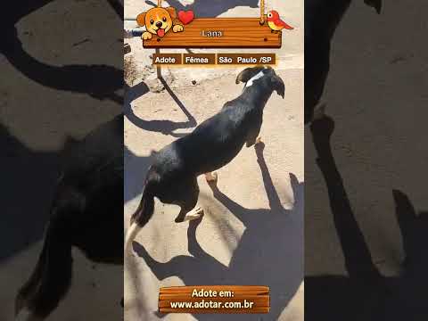 Vídeo de Lana 