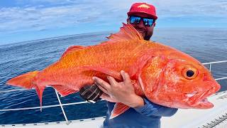 Pelagic Pursuit Kicking Ass