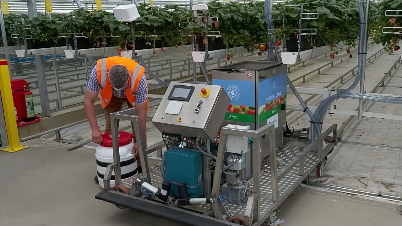 Video preview poster