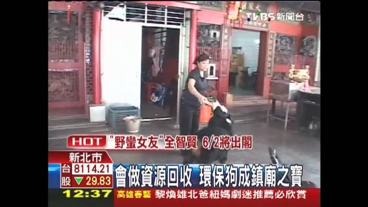 會做資源回收 環保狗成鎮廟之寶