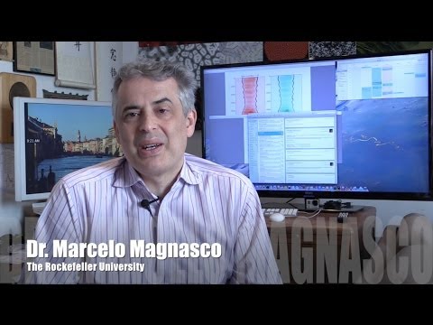 Un "trillón" de aromas