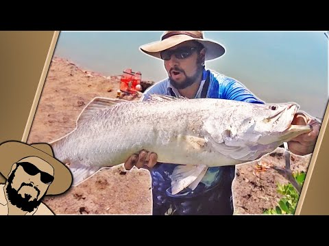 A Day of Surprises (BIG land based Barra fishing in URBAN CREEK)
