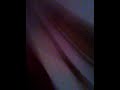 This Is Devon Poop
