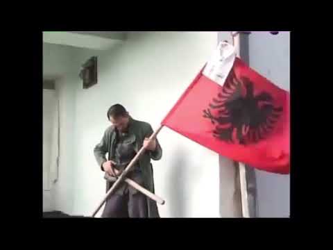 Stupcat Patriotik Alb