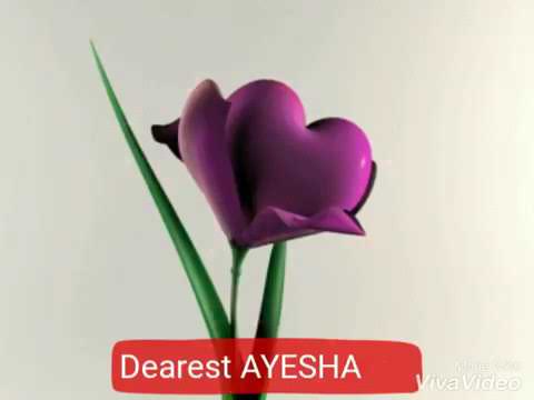 Happy birthday ayesha