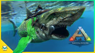 《方舟生存进化》Ark Survival Evolved EP 8 : 鲨鲨军团拜访，珍珠之旅