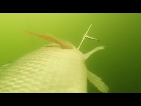 SE02EP026 Part 1 - ETO na ang BAKBAKAN sa LAUREL | ang LALAKI ng HULI (Catch & Cook) Laurel Batangas