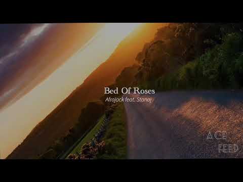 Afrojack feat. Stanaj - Bed Of Roses