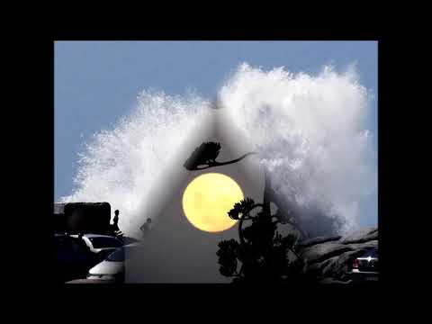 Video de YouTube - Terreno en Venta  en Punta del Diablo, Rocha