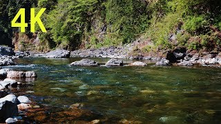 4K Japan CAMP MOVIE  Outdoors Tokyo Okutama 奥多摩氷川キャンプ場