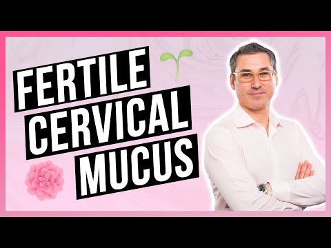 Improve your Cervical Mucus for Fertility