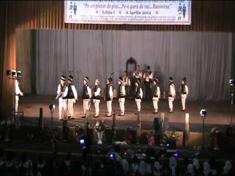 Formatia de jocuri barbatesti "Arcasii" Braiesti