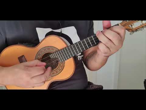 BEM NO ÍNTIMO (Katinguele) Carrapicho Rangel