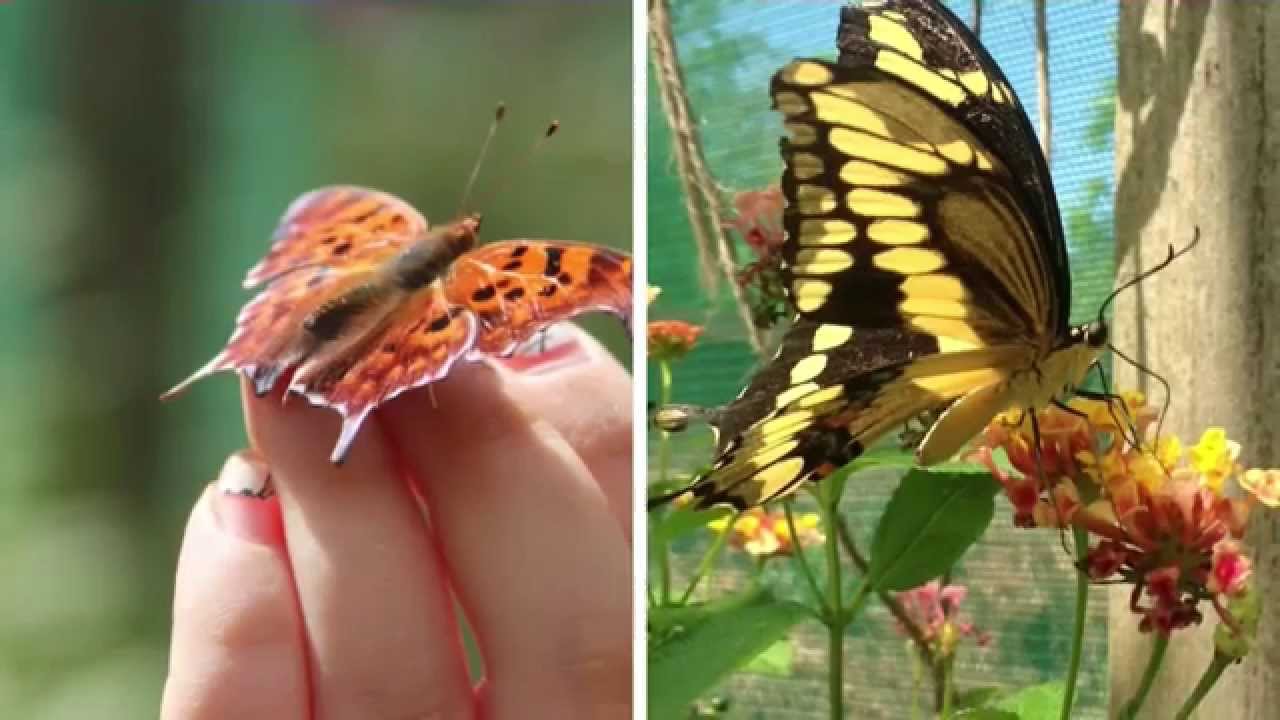 Is the Churchville Nature Center free?