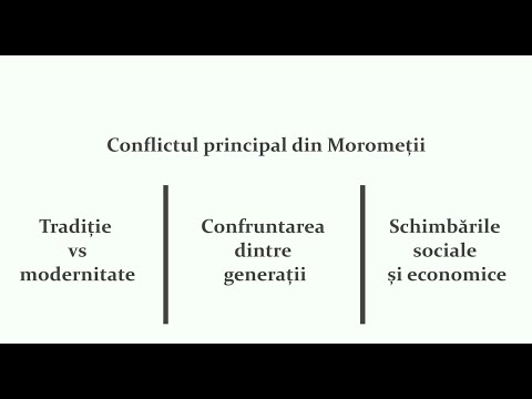 Morometii - Marin Preda (main conflict, essay, commentary)