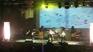 cute is what we aim for - hollywood