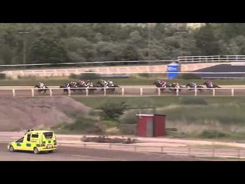2013.08.11 Svenskt Derby - Hurricane Red