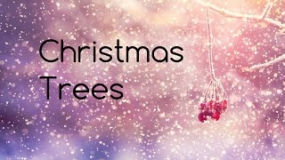 Major Lazor Ft Protoje - Christmas Trees Lyrics