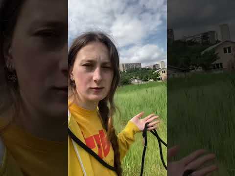 ტორი vs ზაკაი