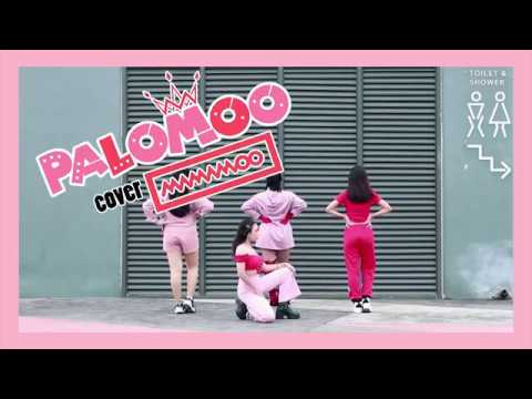 พะโล้หมู { แก็งค์ขาหมูที่โคฟมามามู }* PALOMoo * Cove  MAMAMoo - GoGobebe