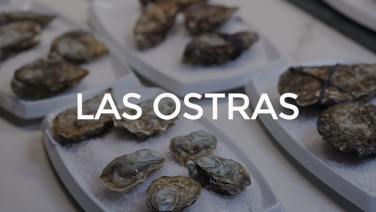 Watch Técnica · Conservación de las ostras Now Técnica · Conservación de las ostras