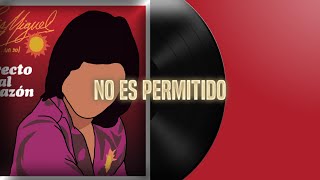 No Es Permitido - Luis Miguel (letra)