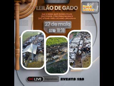 LEILAO DE GADO DA ITAJÁ LEILÔES