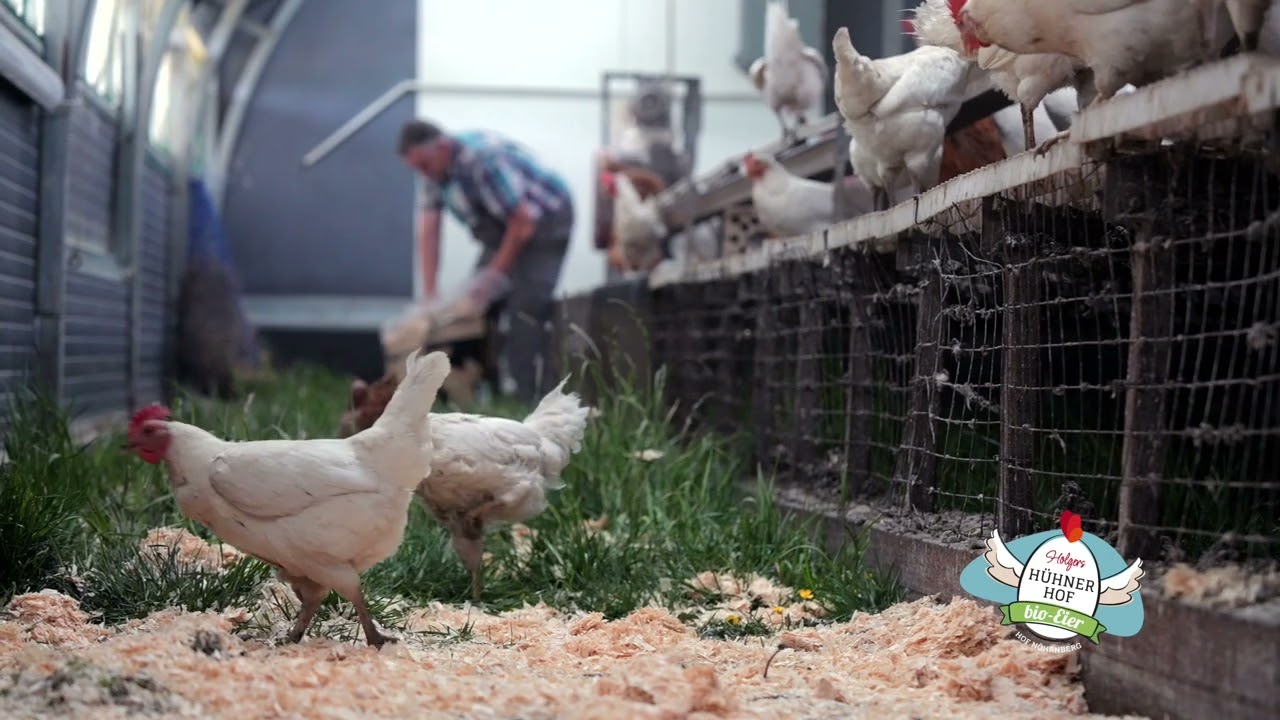 Biohof Holger Nöhrnberg Stuhr